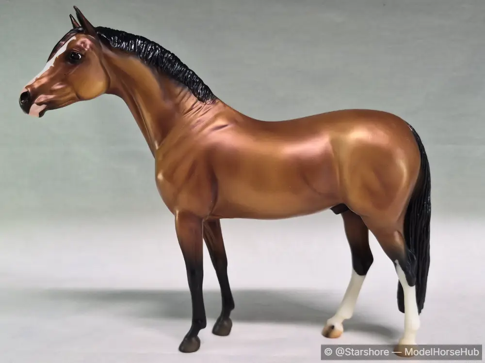 Saturday Park Date — entry in European Pony