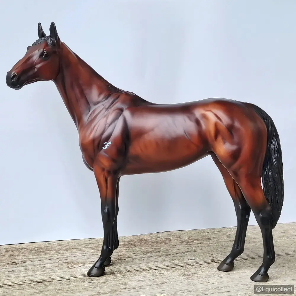 EQC True North — entry in OF Thoroughbred & Standardbred
