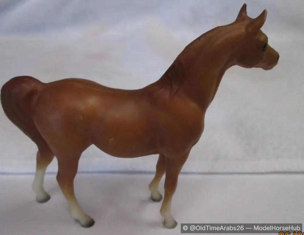 Arabian Stallion 495092