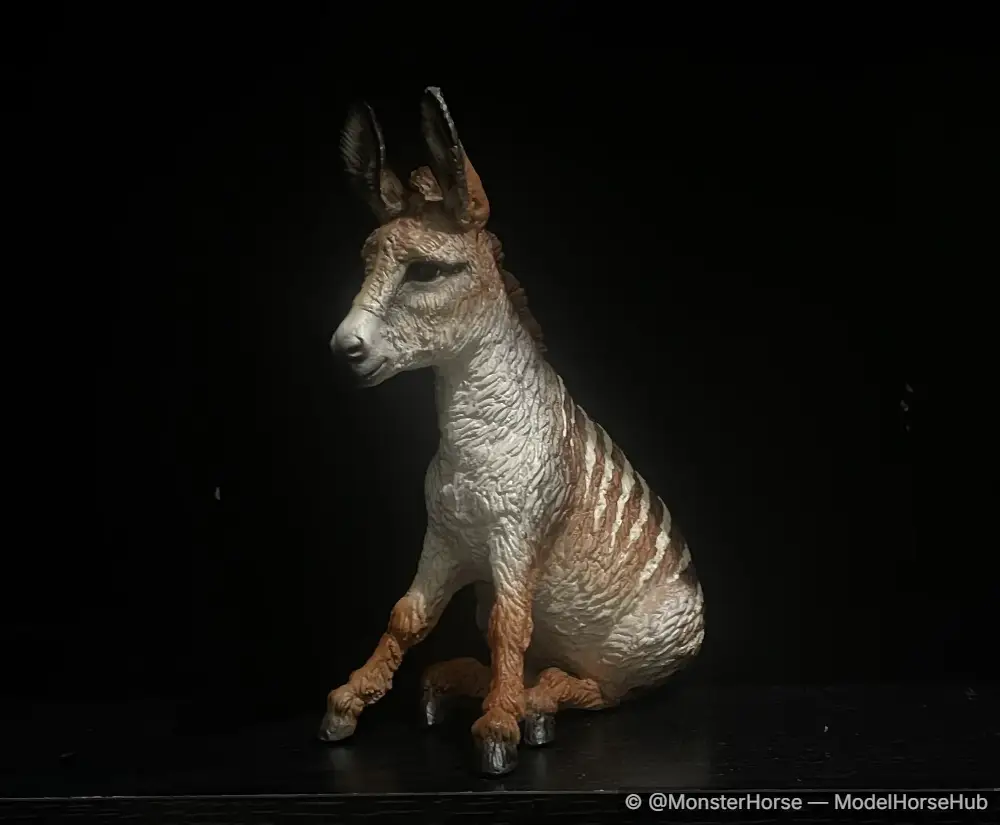 Dryandra