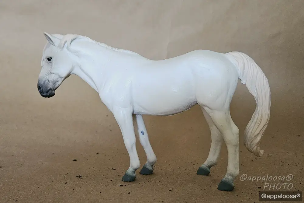 Luna — entry in European Pony
