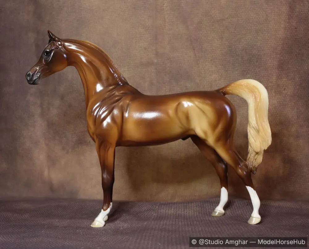 Max — entry in Arabian