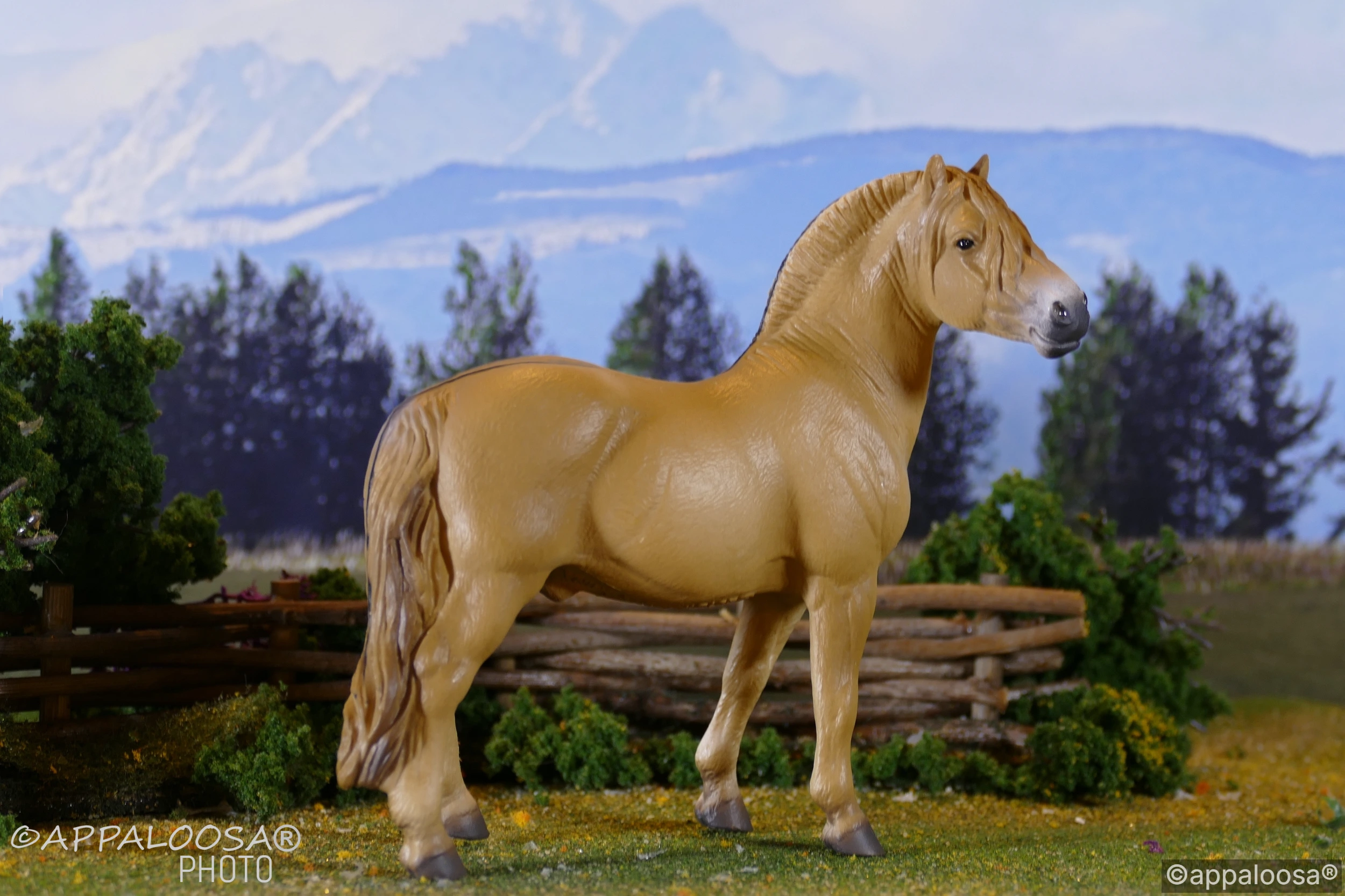 Håkon — entry in European Pony