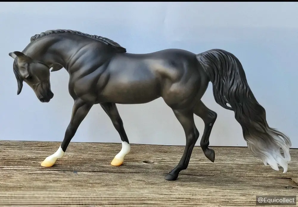 EQC Smokeshow — entry in Arabian, Part-Arabian & Gaited