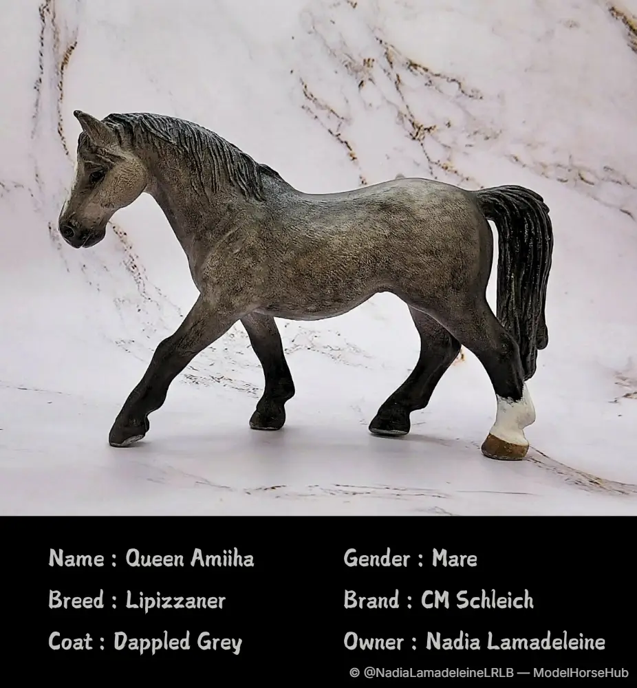 Queen Amiiha, finished by this studio