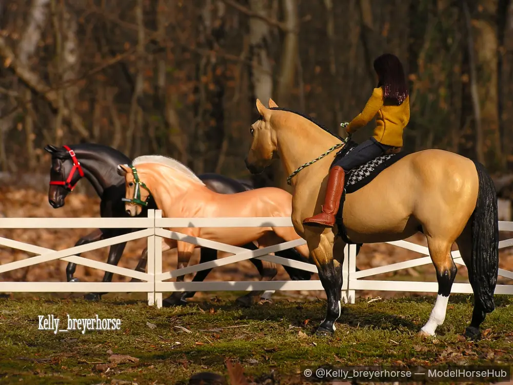 Goldryn — entry in Barn Life & Performance (Tack, grooming, arena, or daily farm routines)