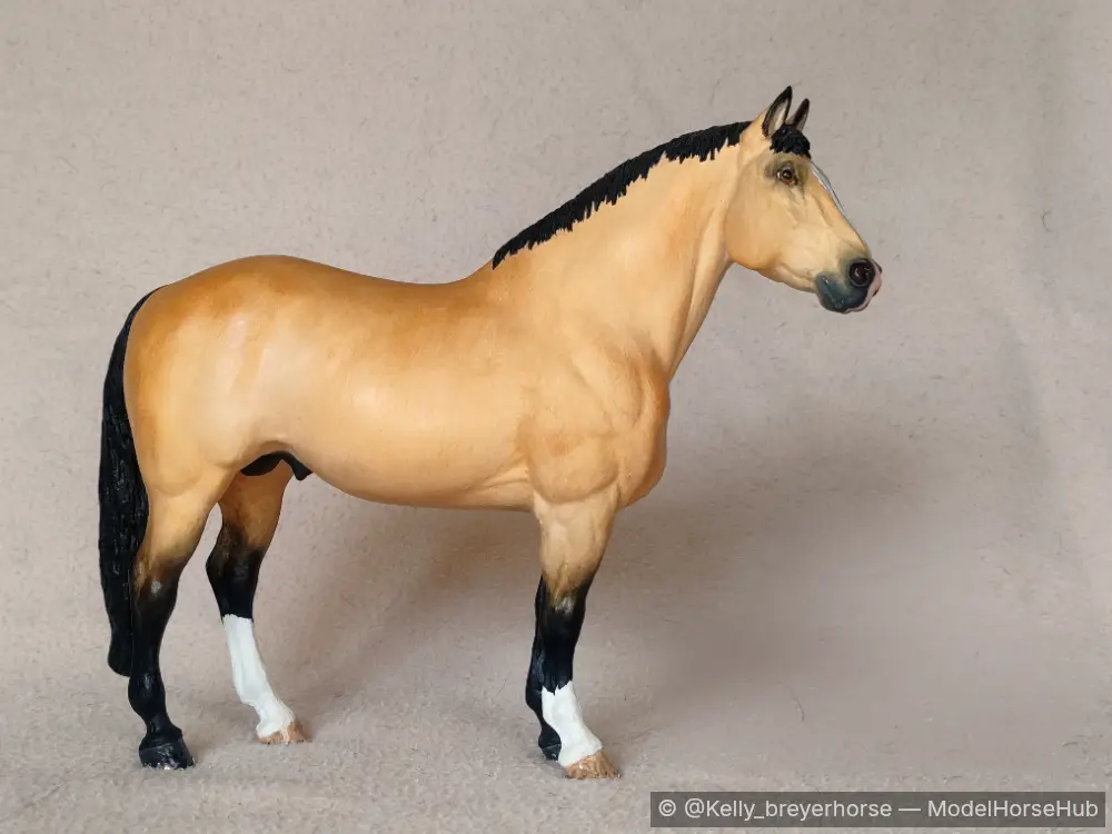 Goldryn — entry in CM/AR Quarter Horse