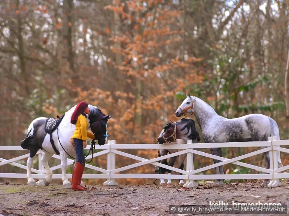 Lost in a Dream — entry in Barn Life & Performance (Tack, grooming, arena, or daily farm routines)