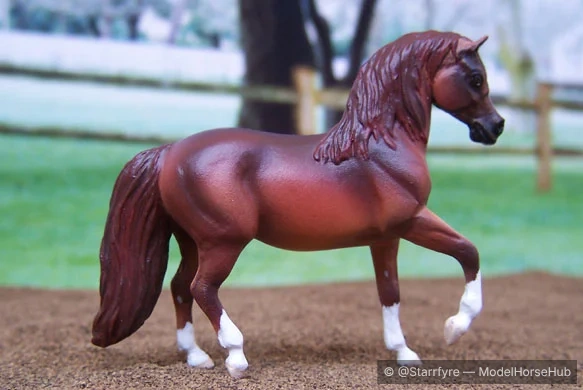Rosa Que Baila — entry in CM/AR Other Pure/Mixed Light & Gaited