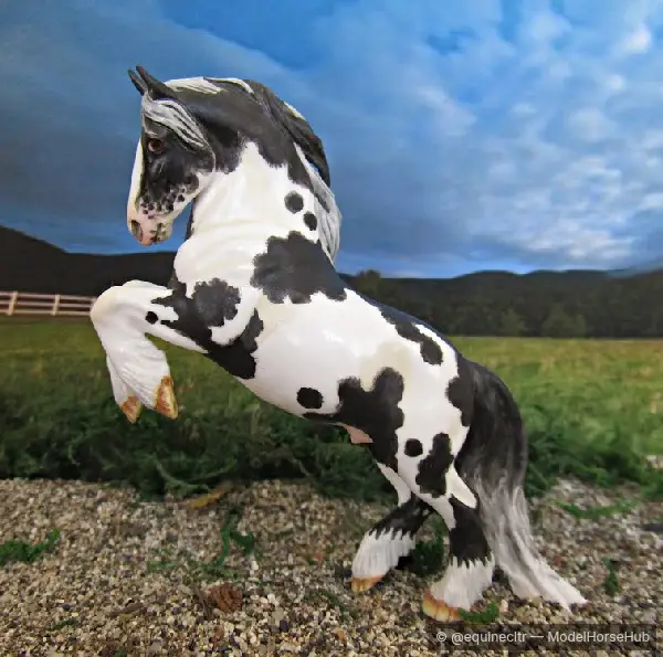 Piebald Roundelay — entry in OF Carriage Breeds