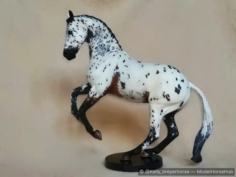 Memento Mori — entry in CM/AR Warmblood