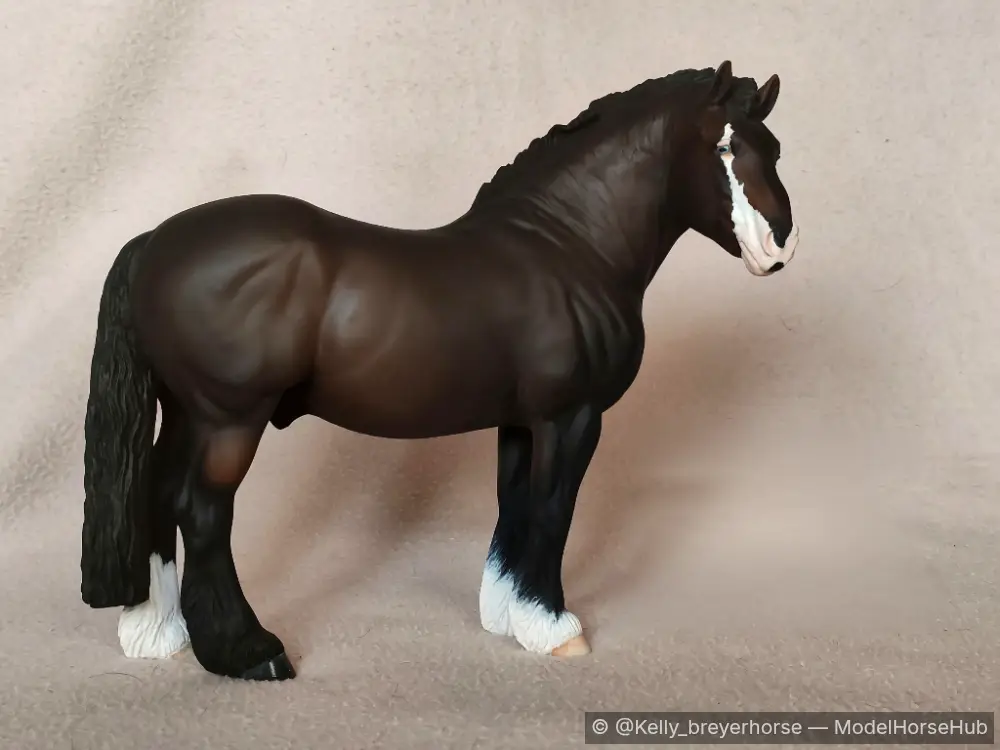 Thunder Storm — entry in CM/AR Other Pure/Mixed Draft & Pony