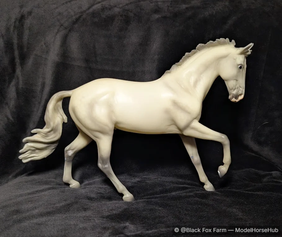 Catch Me — entry in Warmblood