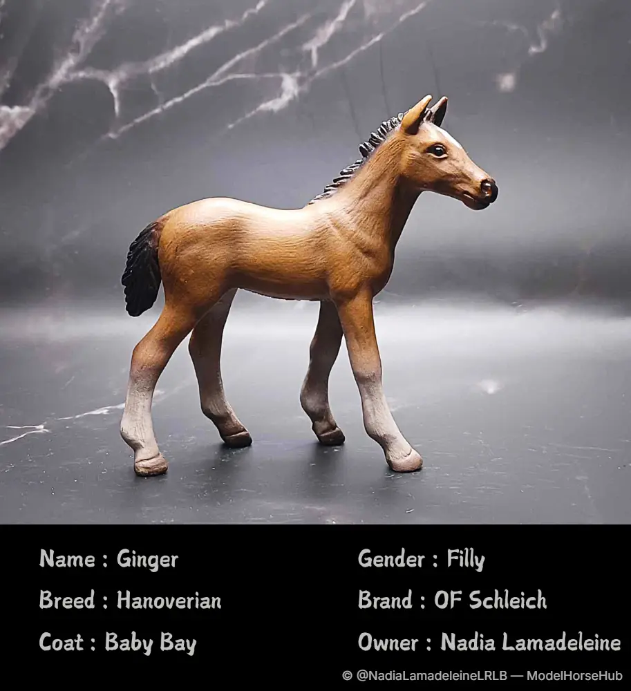 Ginger