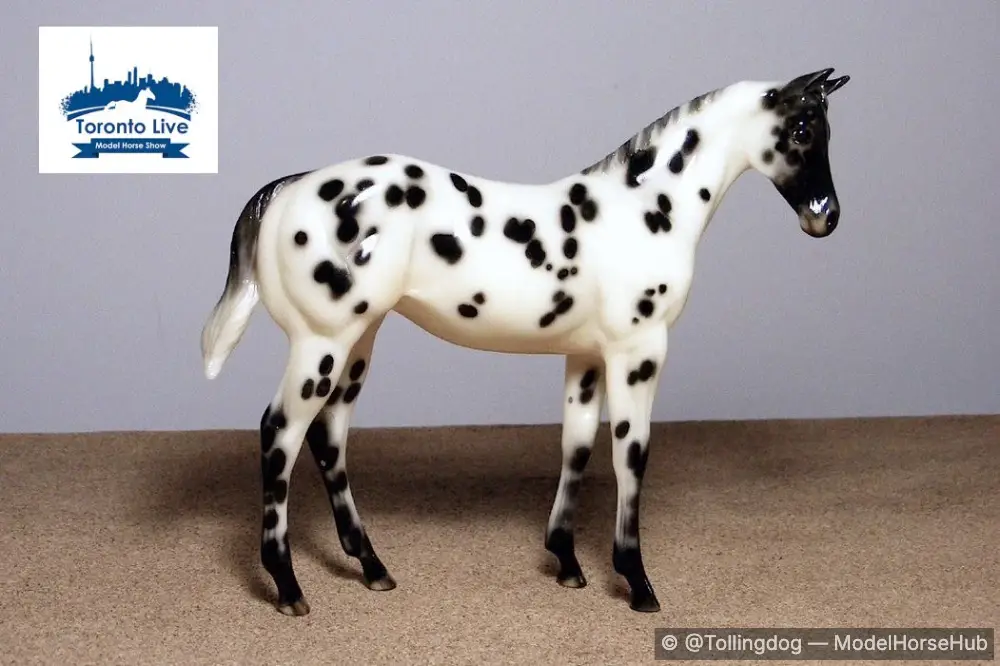 Bear's Wampum — entry in Foals