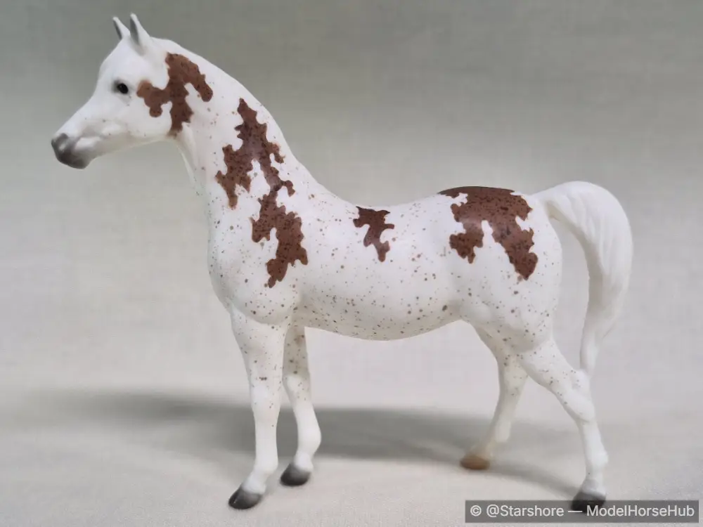 Reign Fire — entry in Arabian