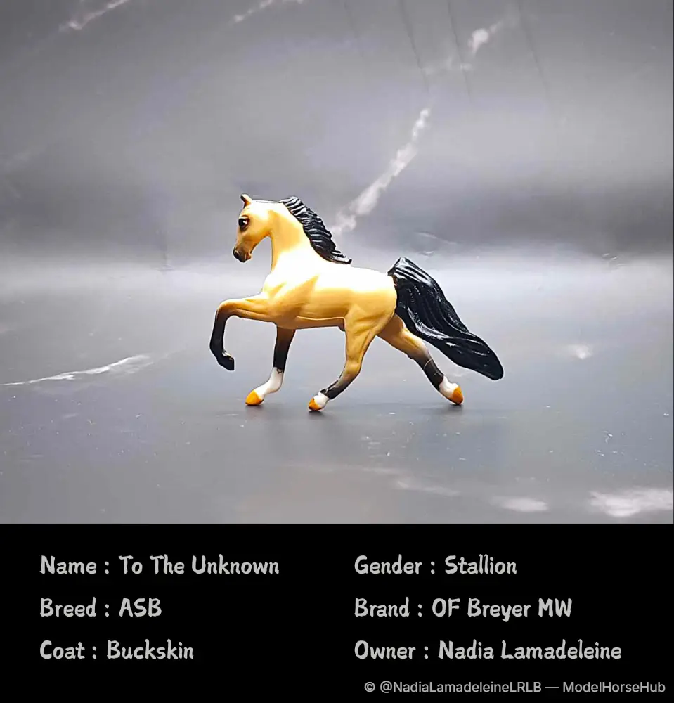 To The Unknown