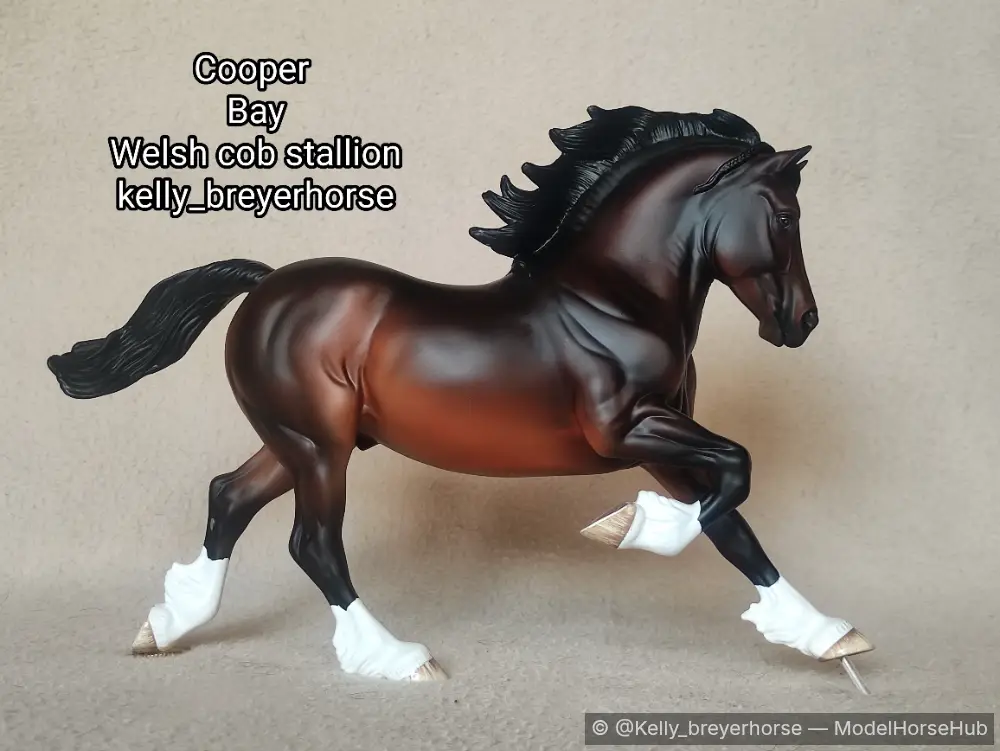 Cooper — entry in European Pony