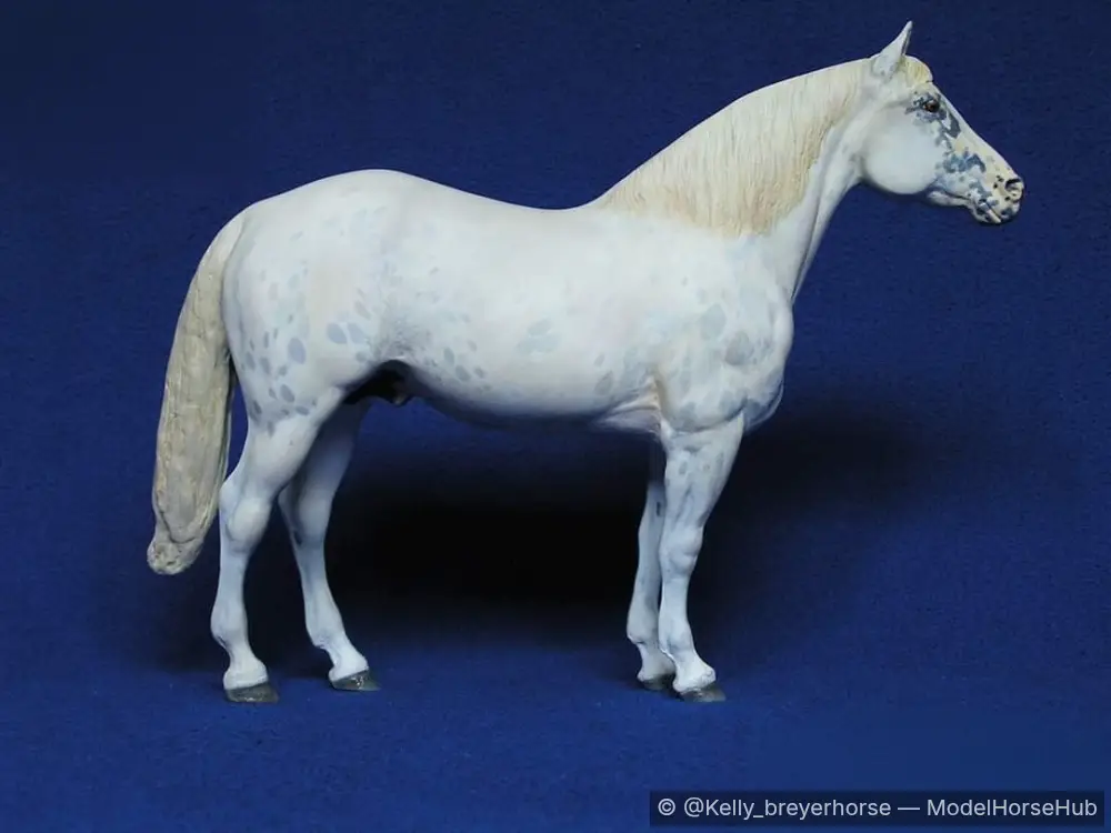 Dali — entry in CM/AR Appaloosa