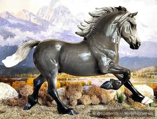 Llwyd Llwynog — entry in European Pony