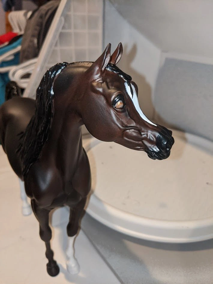 Base coat