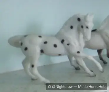 Dollar General Appaloosa, Unshaded
