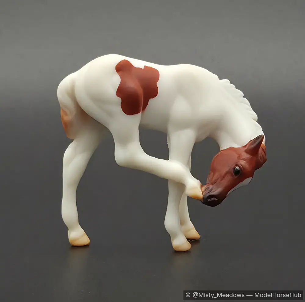 Stormy — entry in OF Stock Breed Foals