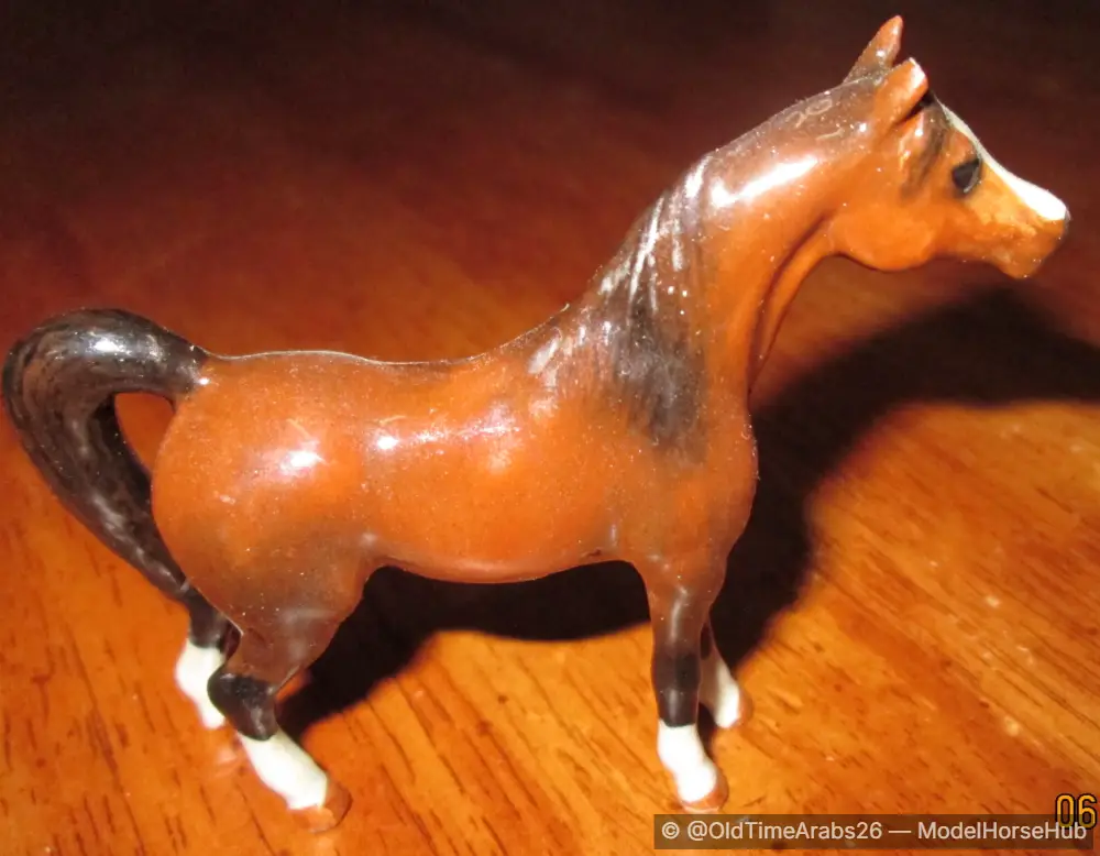 Arabian Stallion