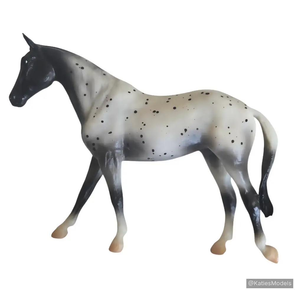 Appaloosa