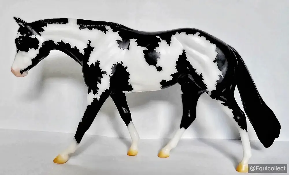EQC Smart Cat Dunnit Again — entry in Quarter Horse, Paint & Appaloosa