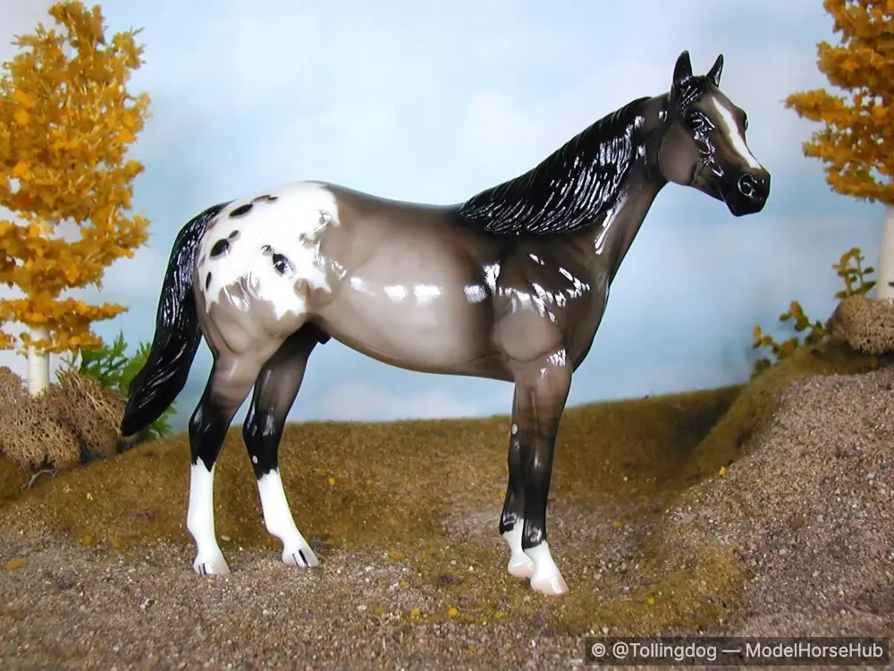 Bear Paw — entry in Appaloosa