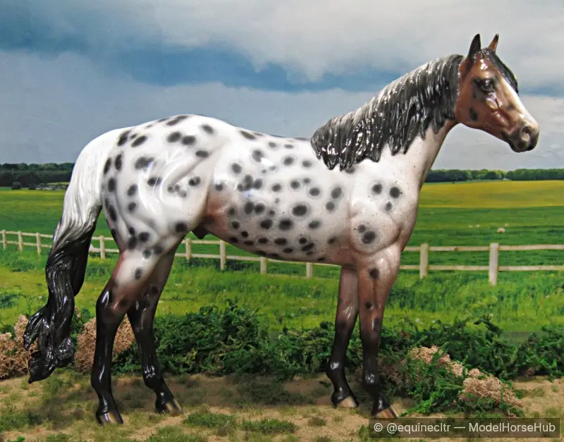 Formidable — entry in OF Appaloosa