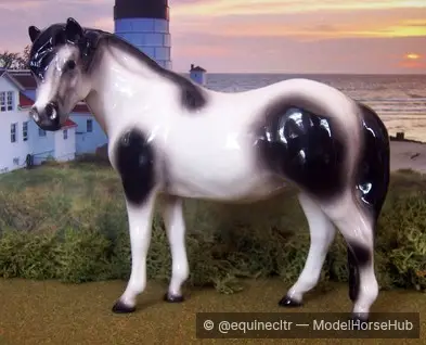 Anula — entry in OF American Pony