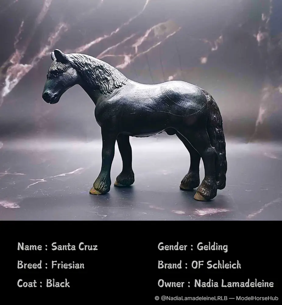 Santa Cruz