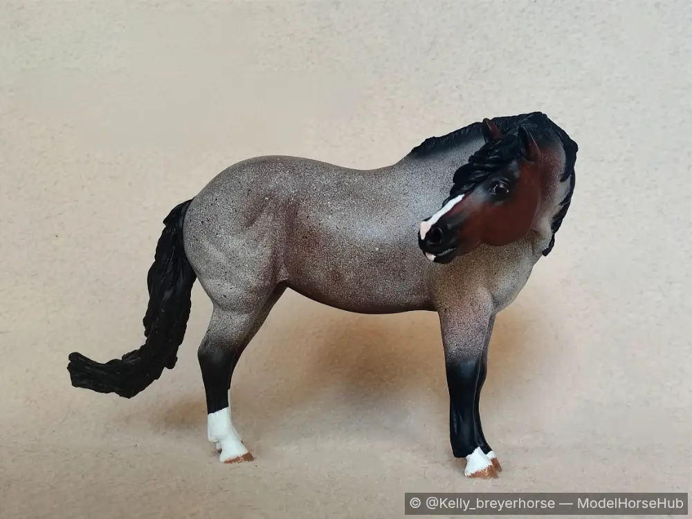 Obsidian — entry in CM/AR American Pony