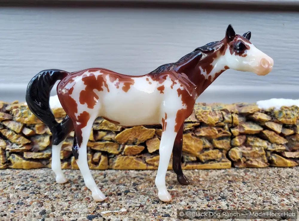 Shiney And Sassy - 170