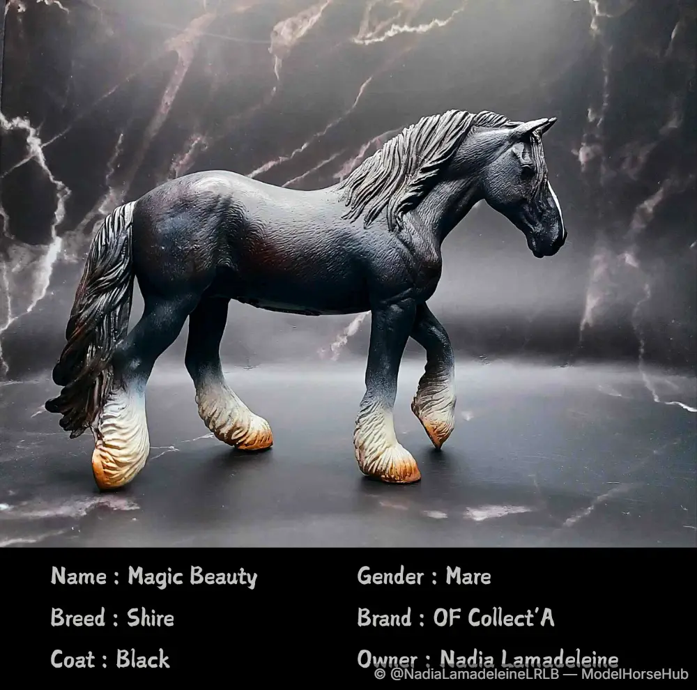 Magic Beauty
