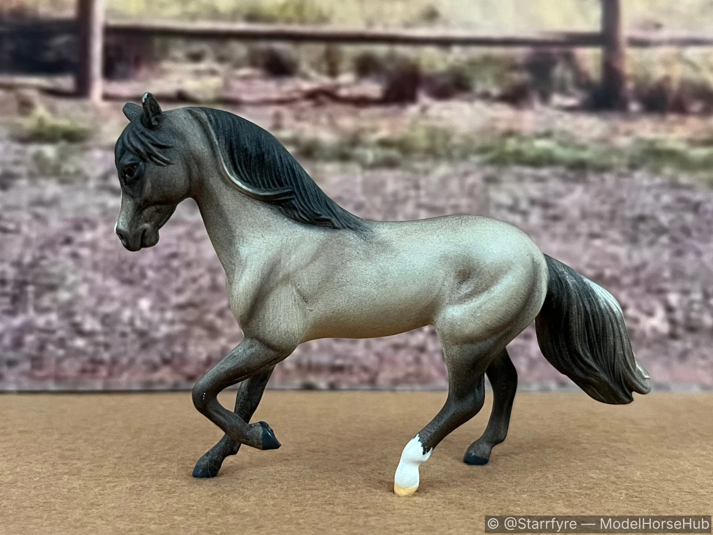 Sombra de Luna — entry in CM/AR Other Pure/Mixed Light & Gaited