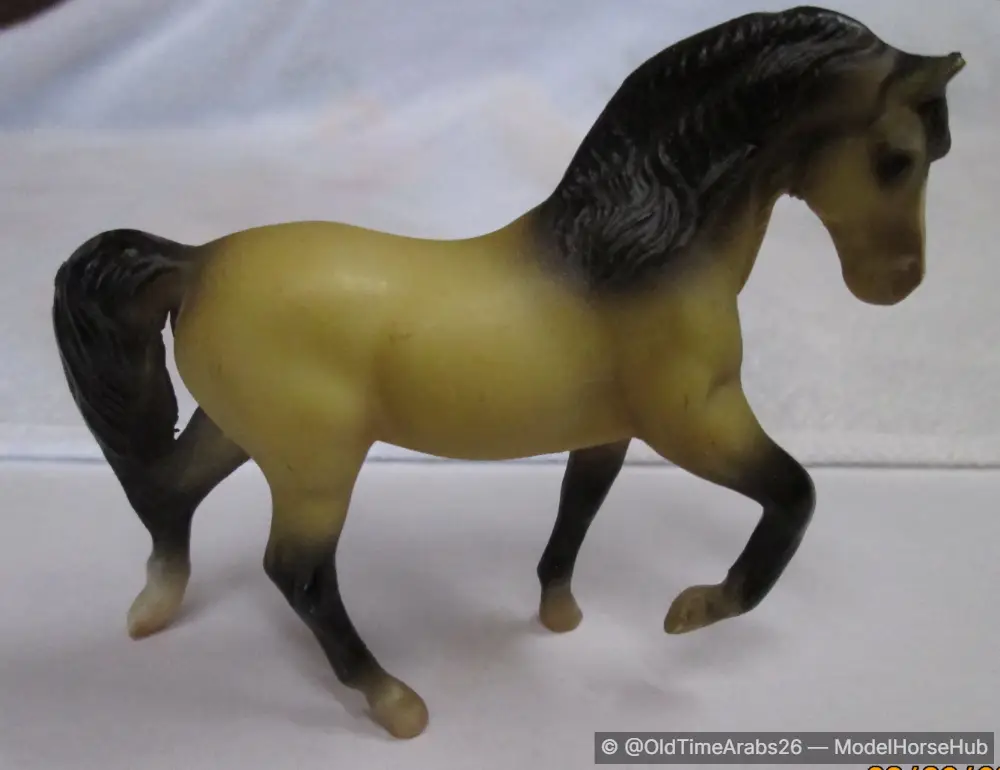 Morgan Stallion 59971