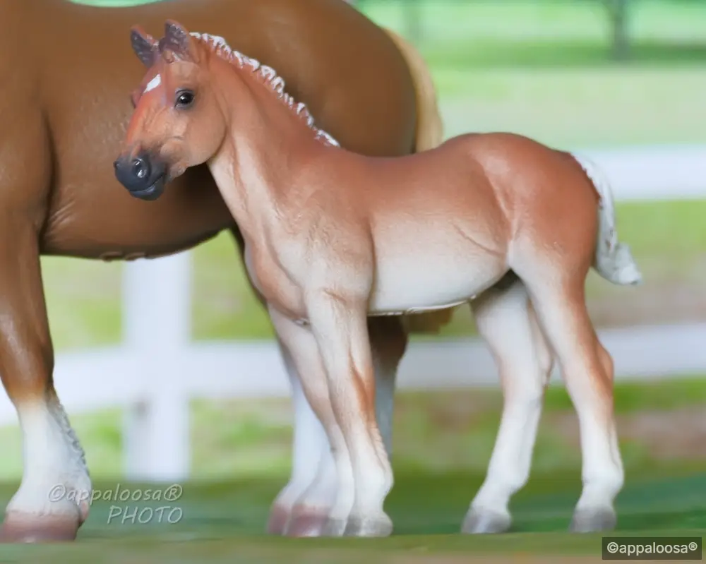 Bella — entry in Foals