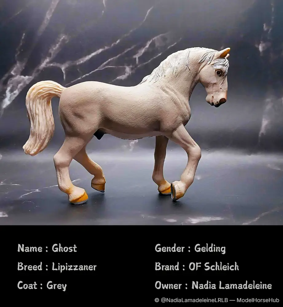 Ghost