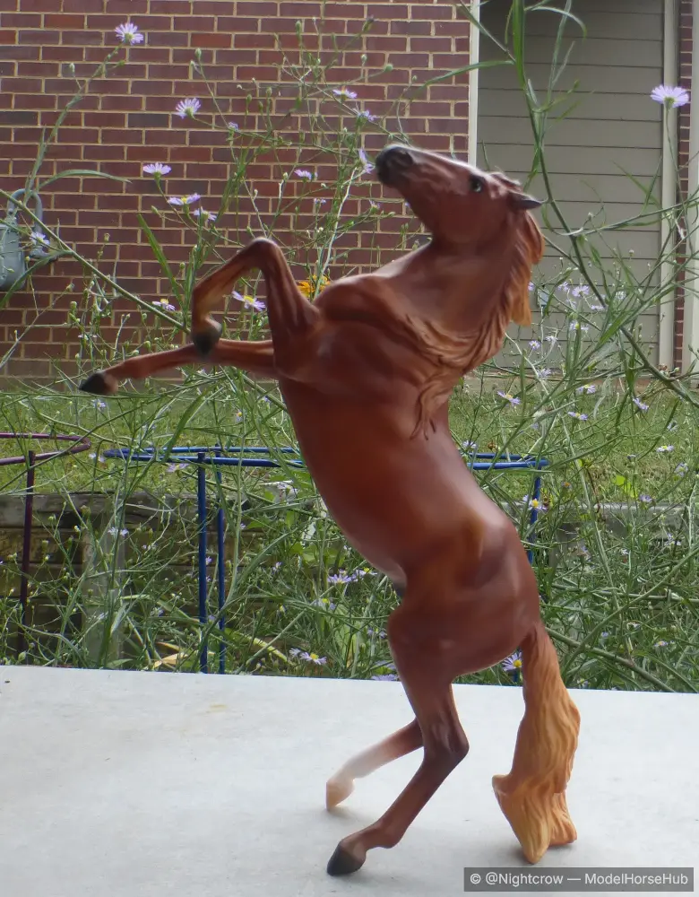Chestnut Mustang
