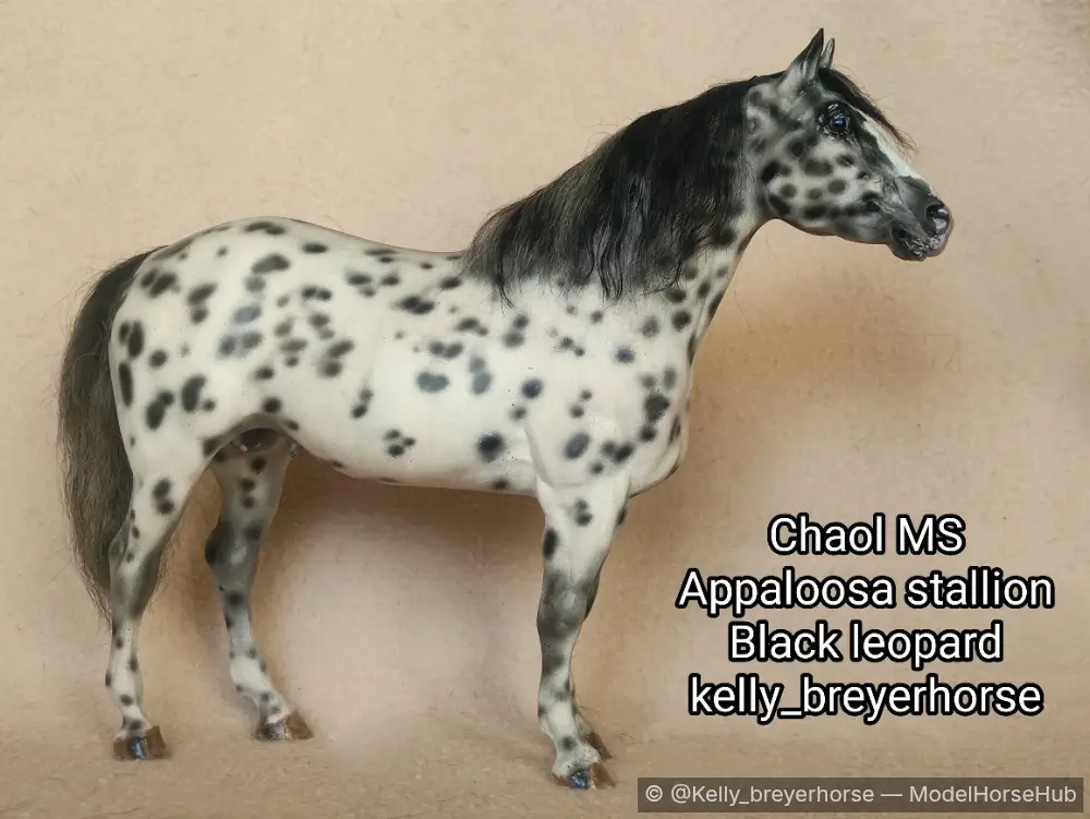Chaol MS