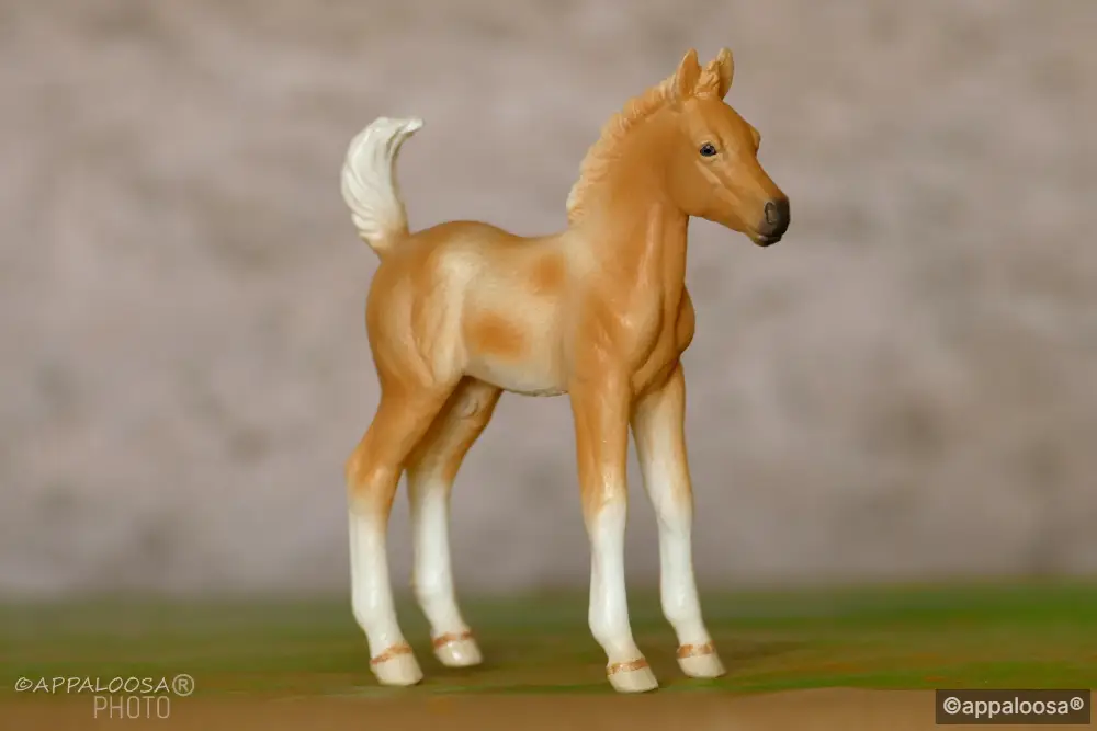 Apricot — entry in Foals