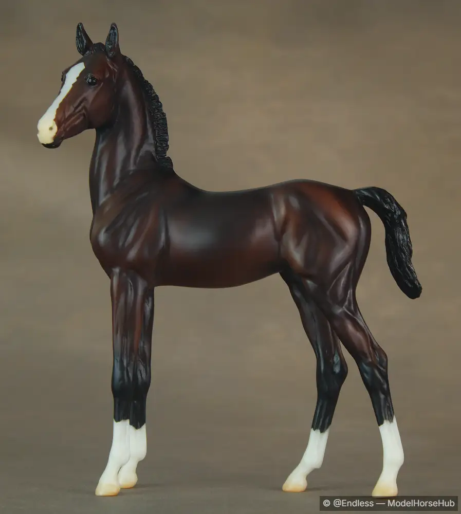 END Marc of Extreme — entry in OF Light Breed Foals