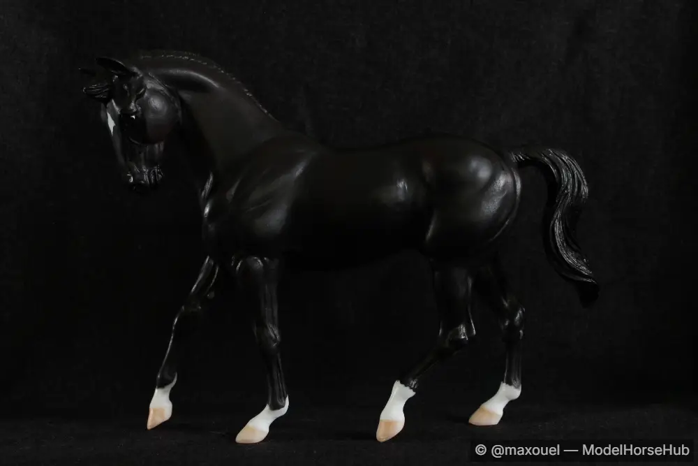 The Musician — entry in Thoroughbred, Warmblood & Sport