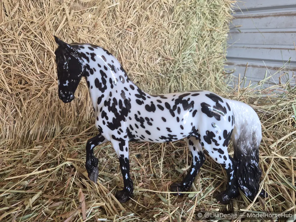 Scandi Surprise- Appaloosa