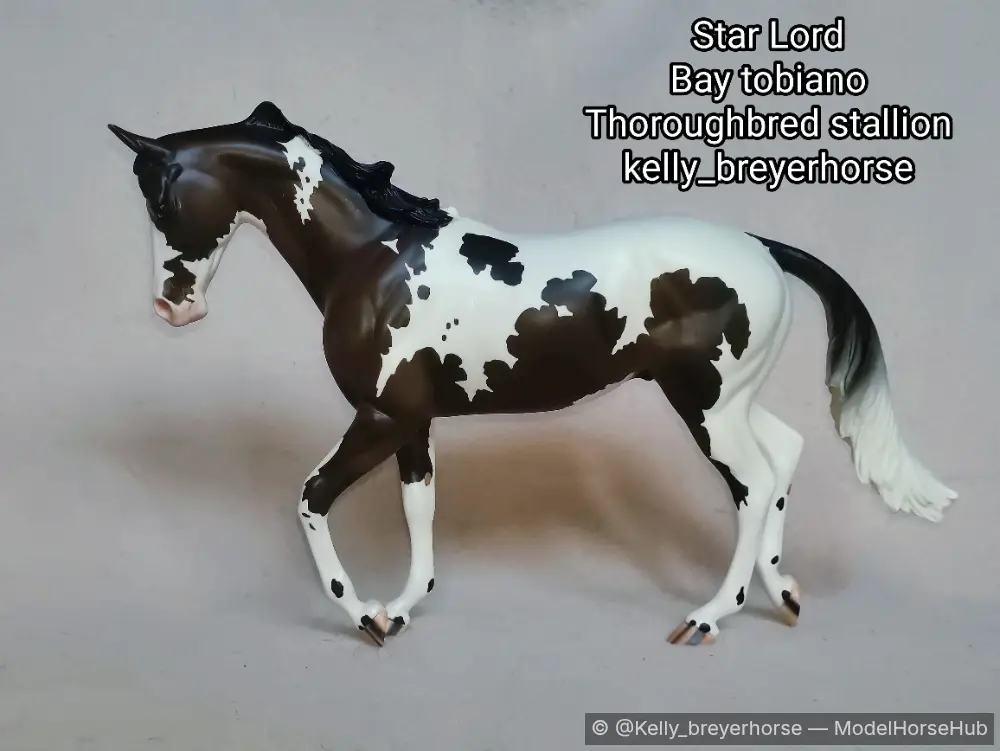 Star Lord — entry in OF Thoroughbred & Standardbred