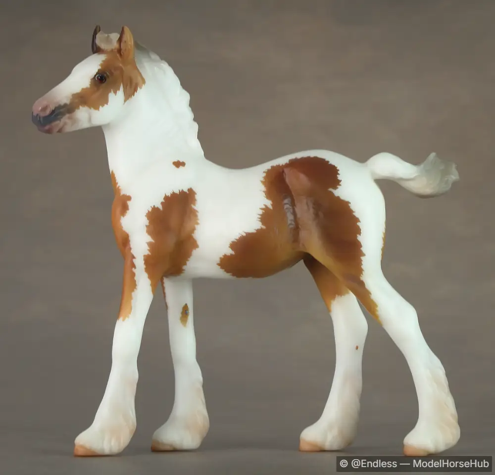 END Winning Spot — entry in OF Sport Breed Foals
