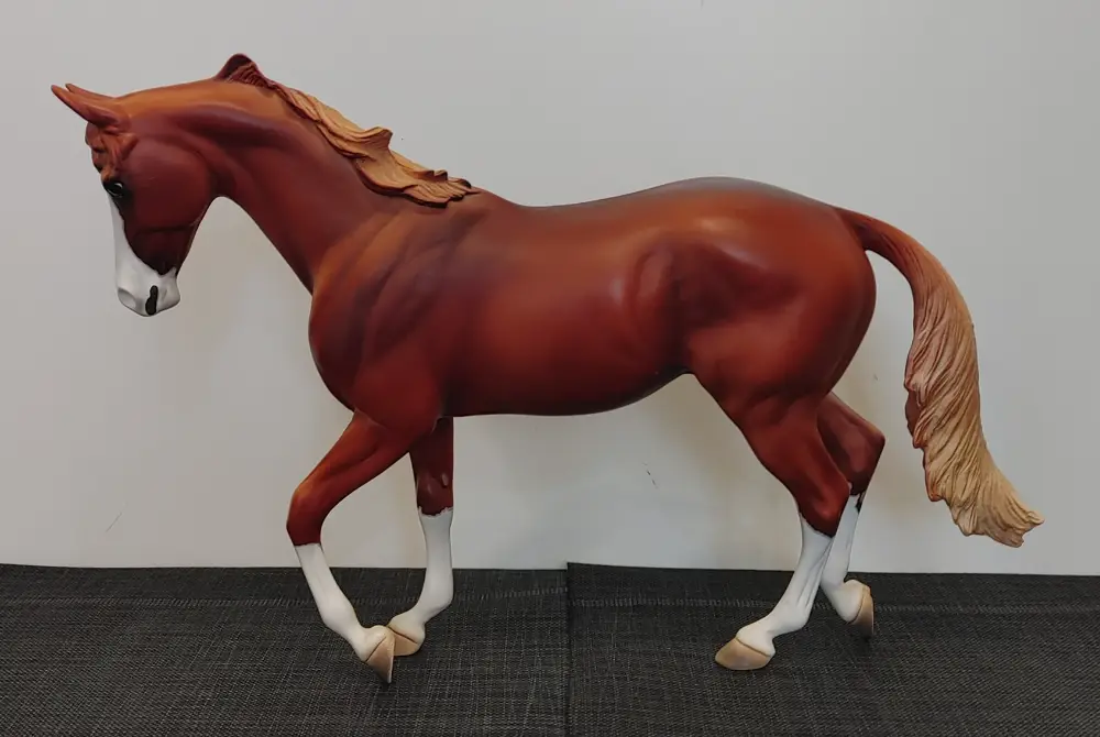 DBS Awesome Surprise — entry in Thoroughbred, Warmblood & Sport